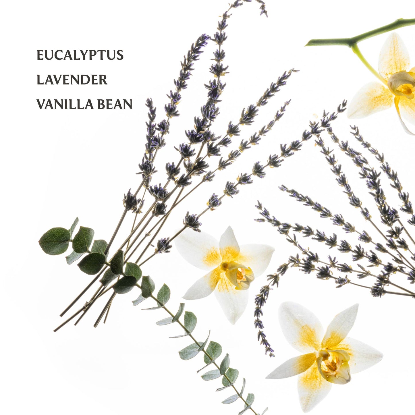 Pure Lavender Power Mist Hydrating Hand Sanitizer - Buttercup Lynne Boutique