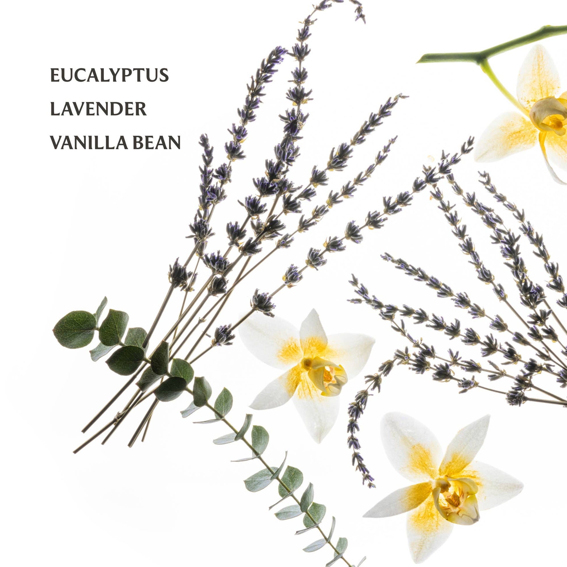 Pure Lavender Power Mist Hydrating Hand Sanitizer - Buttercup Lynne Boutique