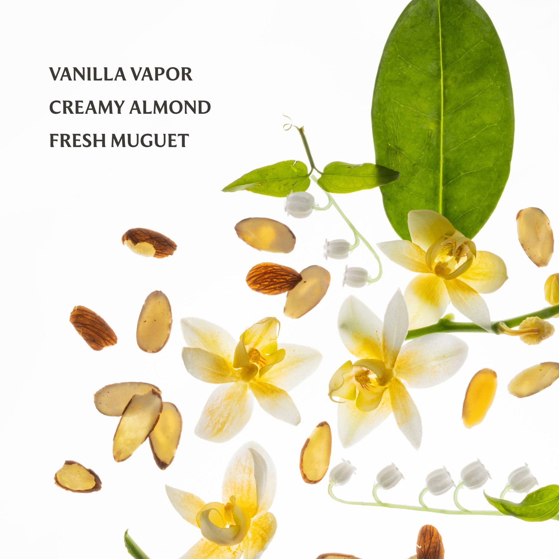 Vanilla Velvet Power Essence Body & Hair Fragrance Mist - Buttercup Lynne Boutique