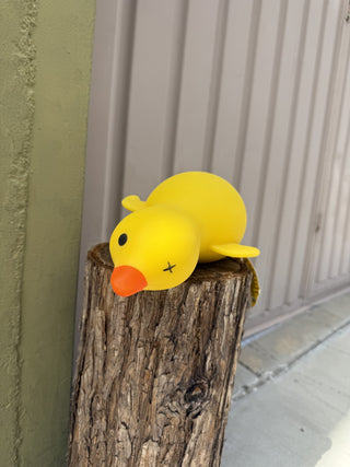 ORB Easy Sqweezy Goose