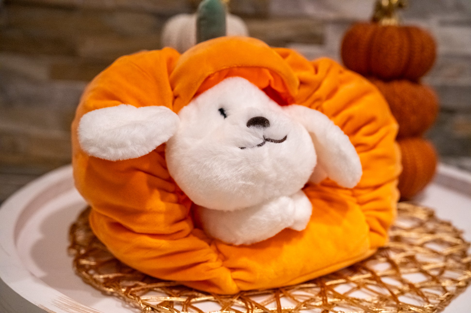 Pumpkin Kisses Pup Pillow - Buttercup Lynne Boutique