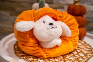 Pumpkin Kisses Pup Pillow - Buttercup Lynne Boutique