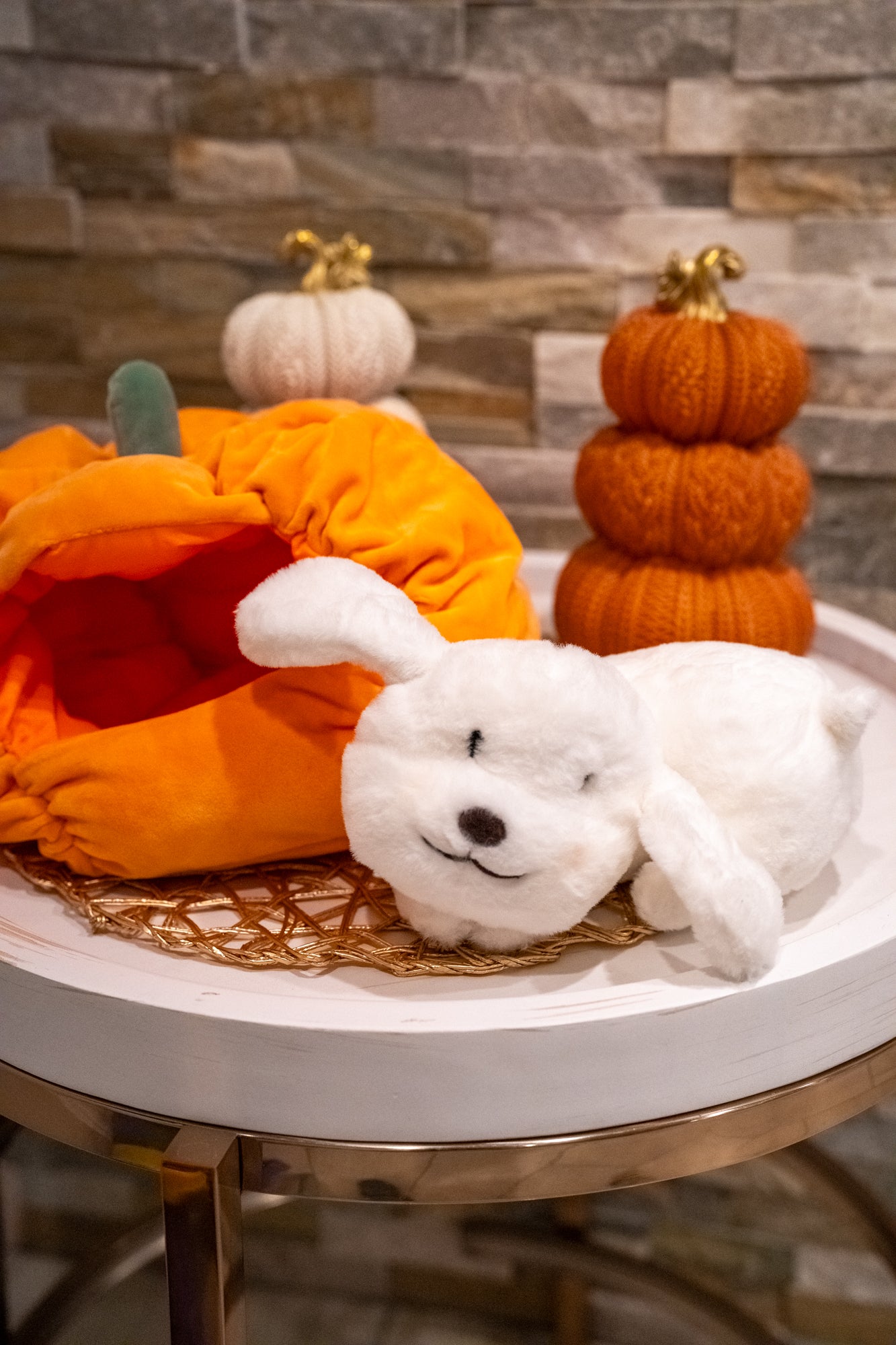 Pumpkin Kisses Pup Pillow - Buttercup Lynne Boutique