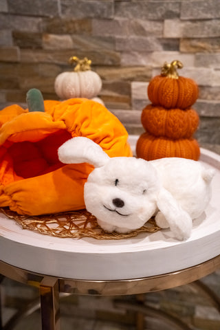 Pumpkin Kisses Pup Pillow - Buttercup Lynne Boutique