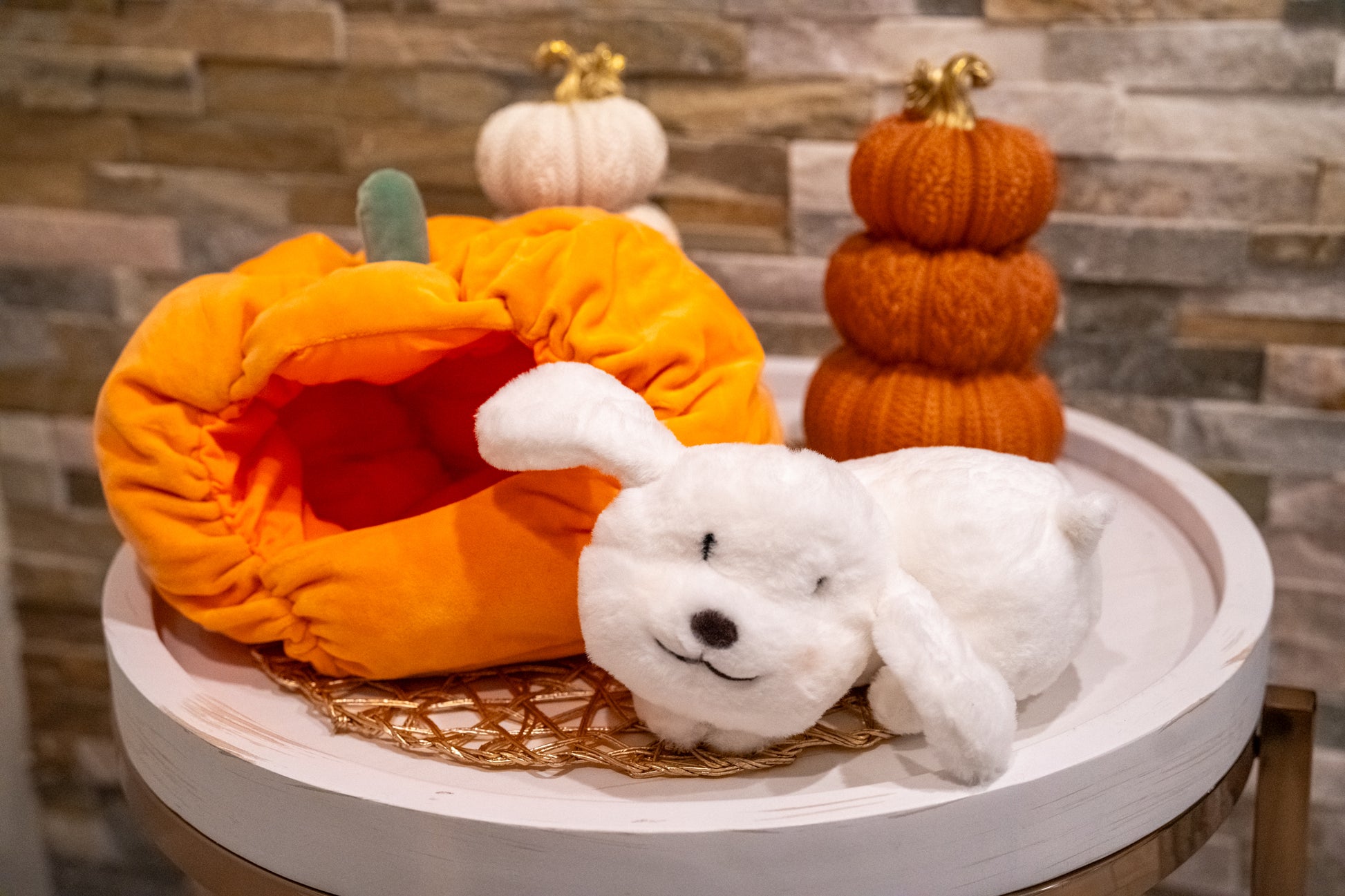 Pumpkin Kisses Pup Pillow - Buttercup Lynne Boutique